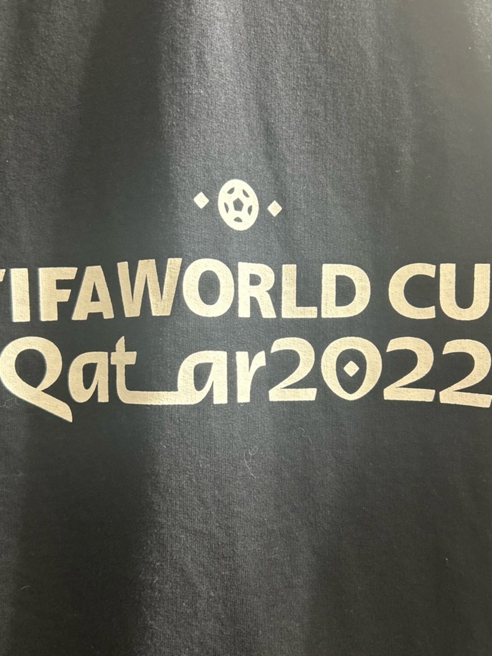 FIFA World Cup Qatar 2022 Black Zip up jacket